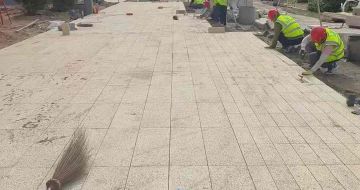 莆田黄金麻荔枝面地铺案例