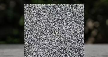 莆田 芝麻黑荔枝面