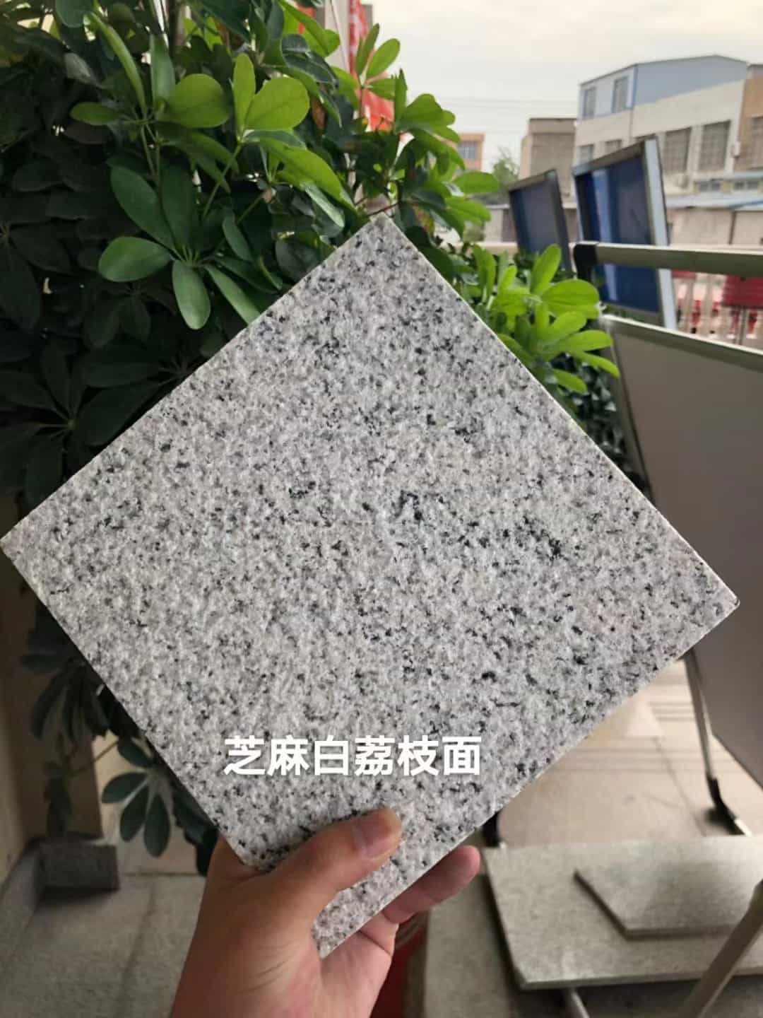 莆田 芝麻白荔枝面干挂