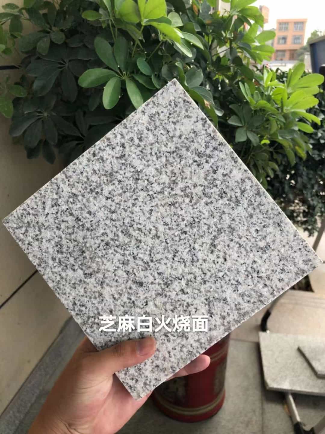 莆田芝麻白火烧面地铺