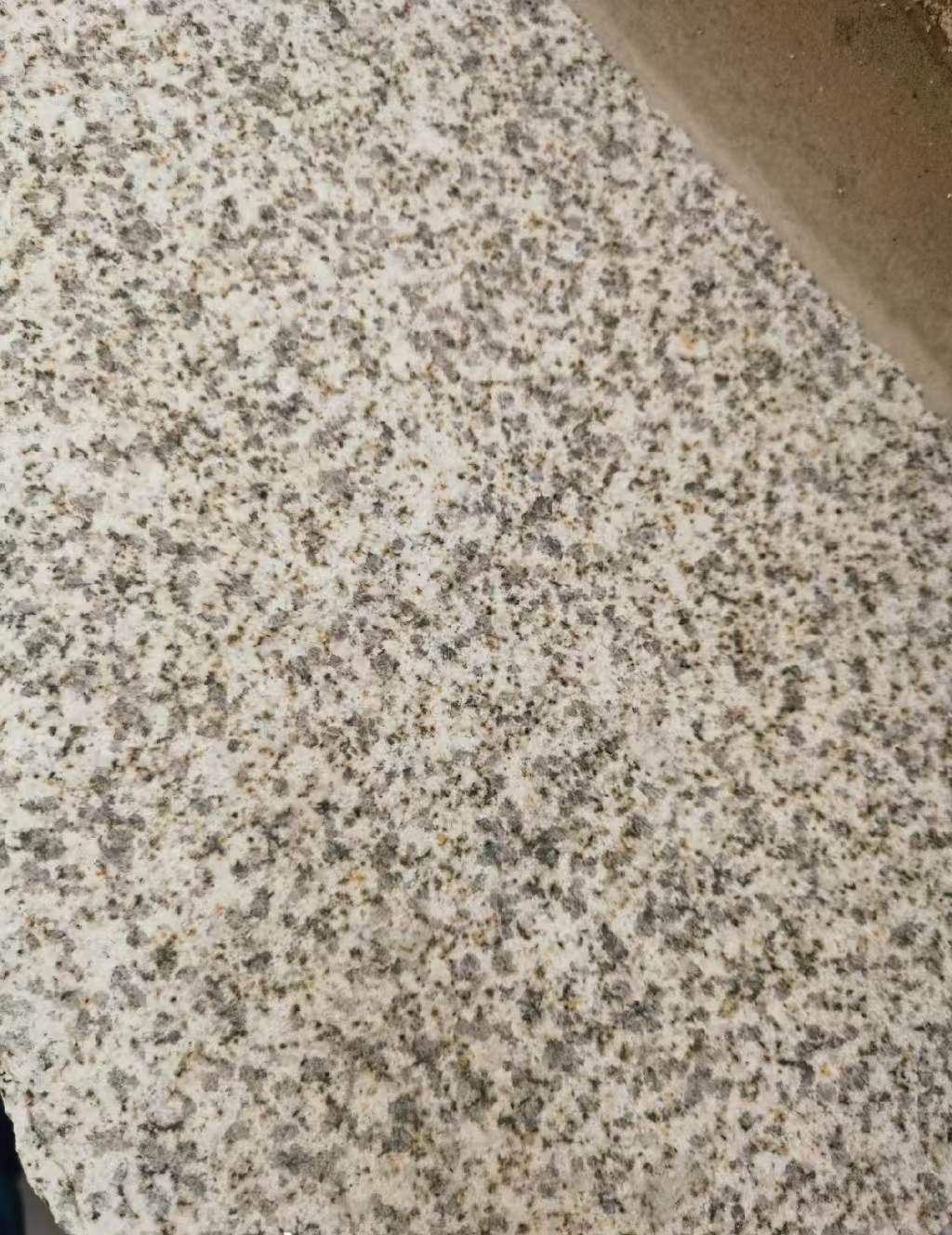 莆田 黄金麻中黄光面