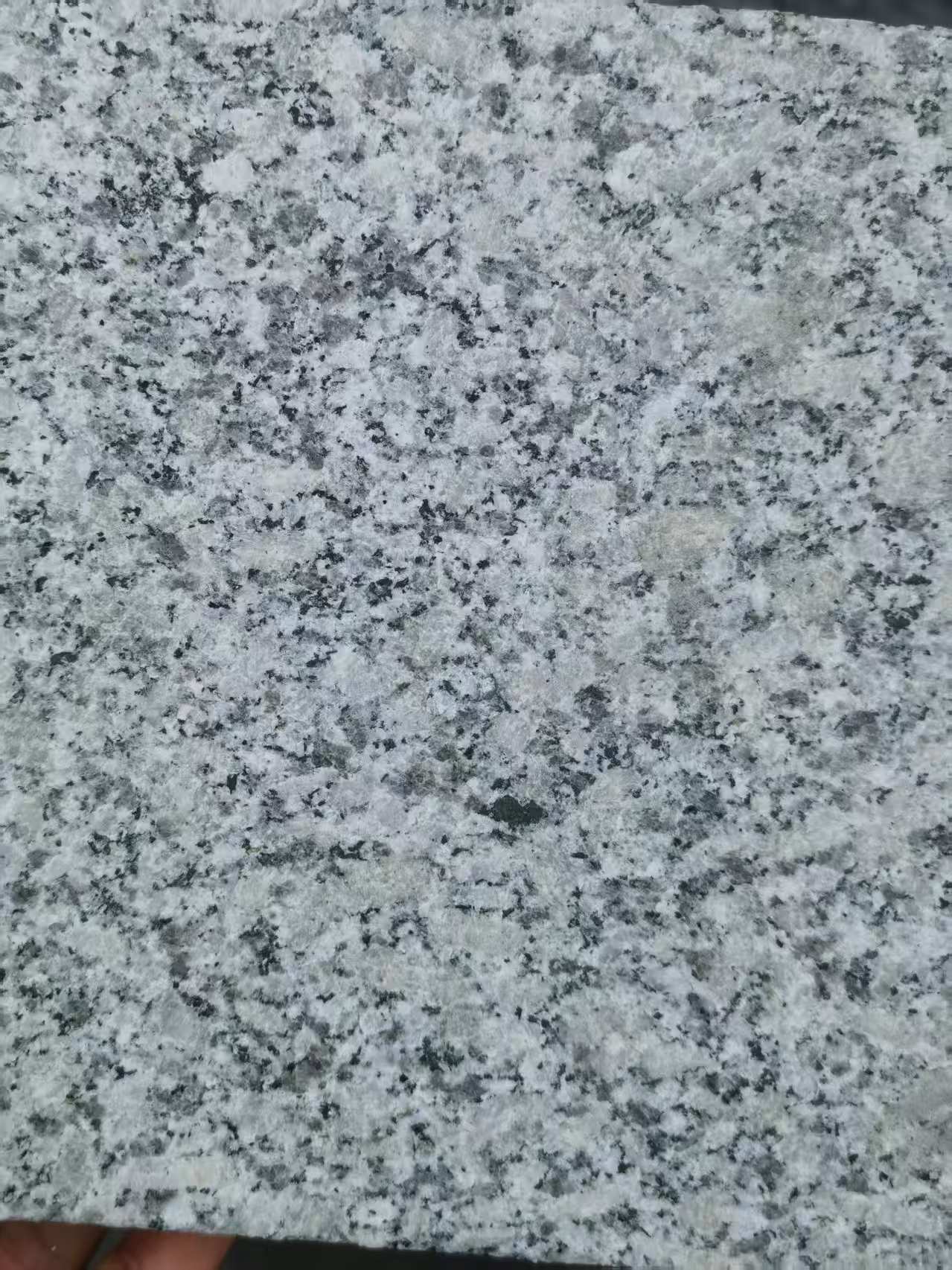 莆田 芙蓉白火烧面